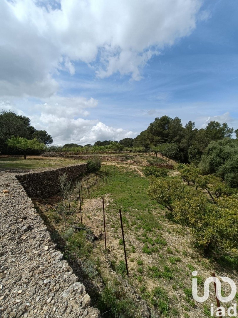 Land plot in El Perello, Tarragona, Spain 55000 sq.m. No. 185898