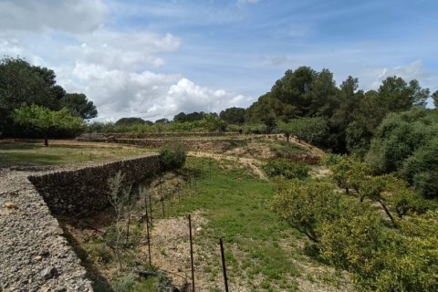 Zemes gabals El Perello, Tarragona, Spānijā 55000 m2 Nr. 185898