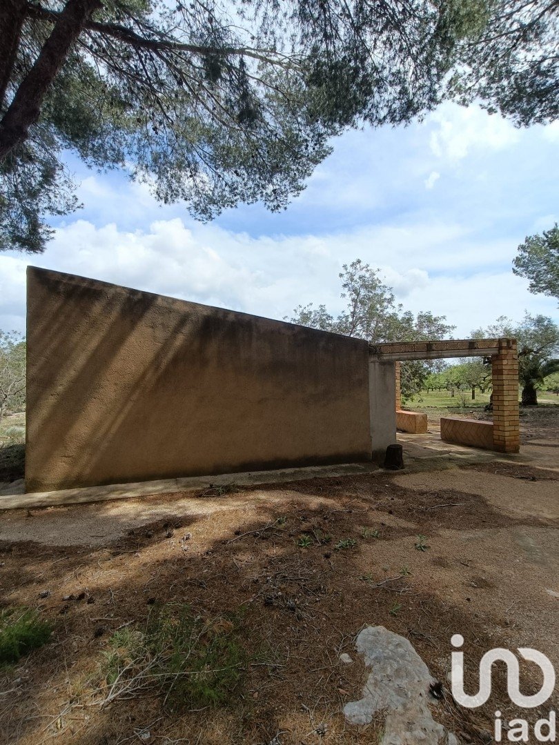 Land plot in El Perello, Tarragona, Spain 55000 sq.m. No. 185898