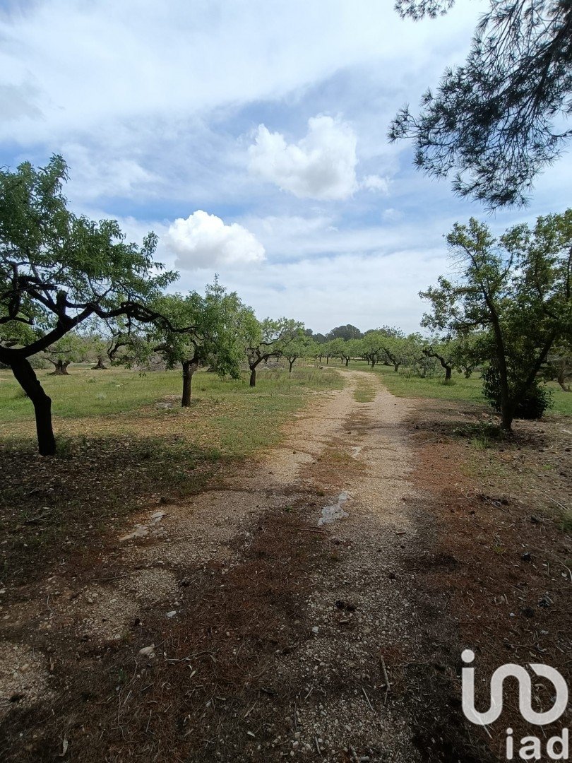 Land plot in El Perello, Tarragona, Spain 55000 sq.m. No. 185898