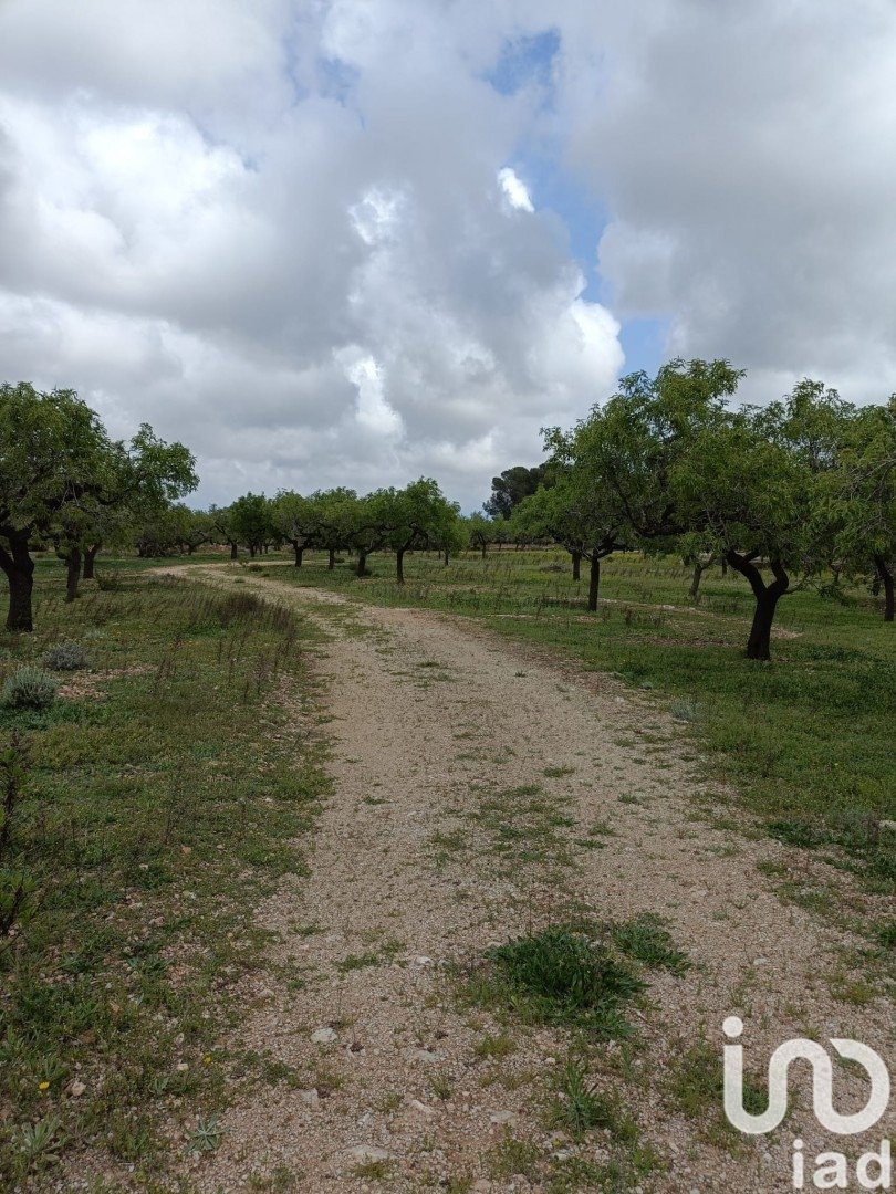 Land plot in El Perello, Tarragona, Spain 55000 sq.m. No. 185898