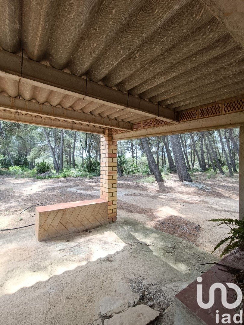 Land plot in El Perello, Tarragona, Spain 55000 sq.m. No. 185898