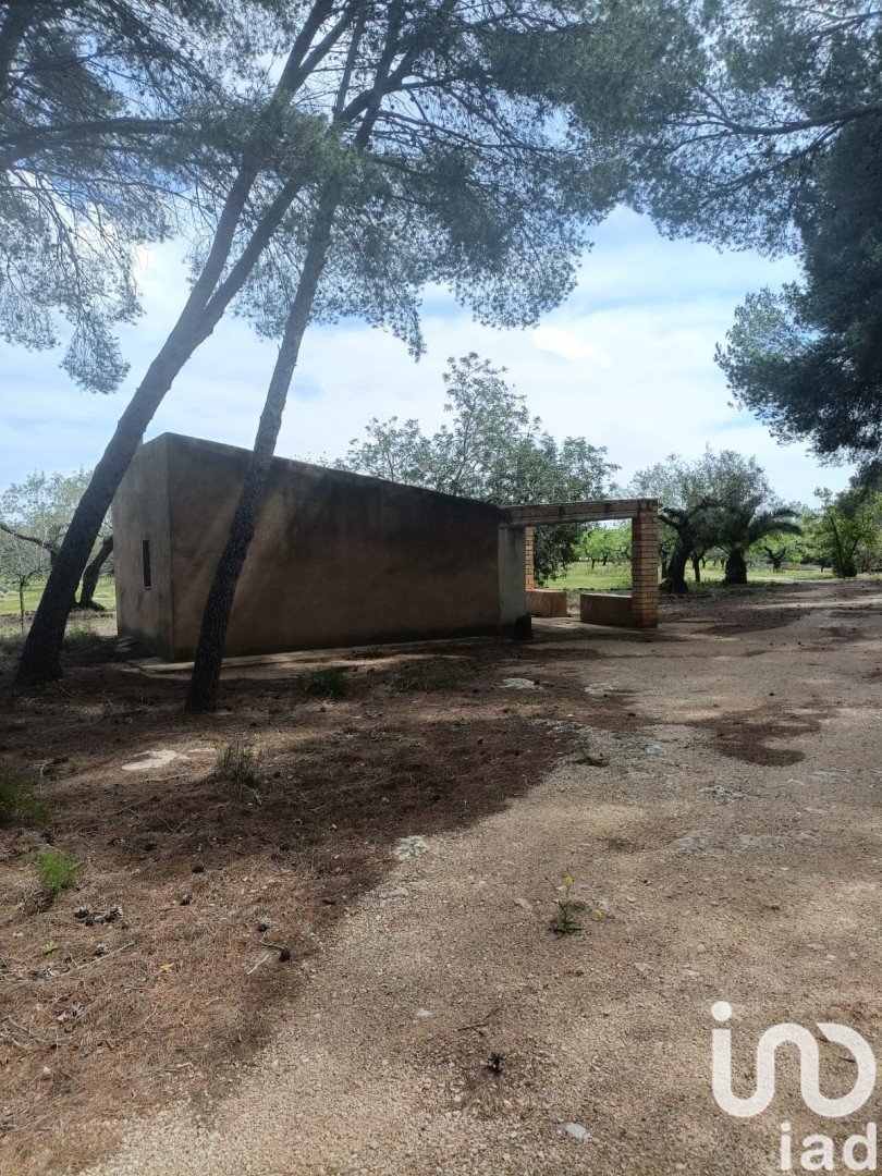 Land plot in El Perello, Tarragona, Spain 55000 sq.m. No. 185898