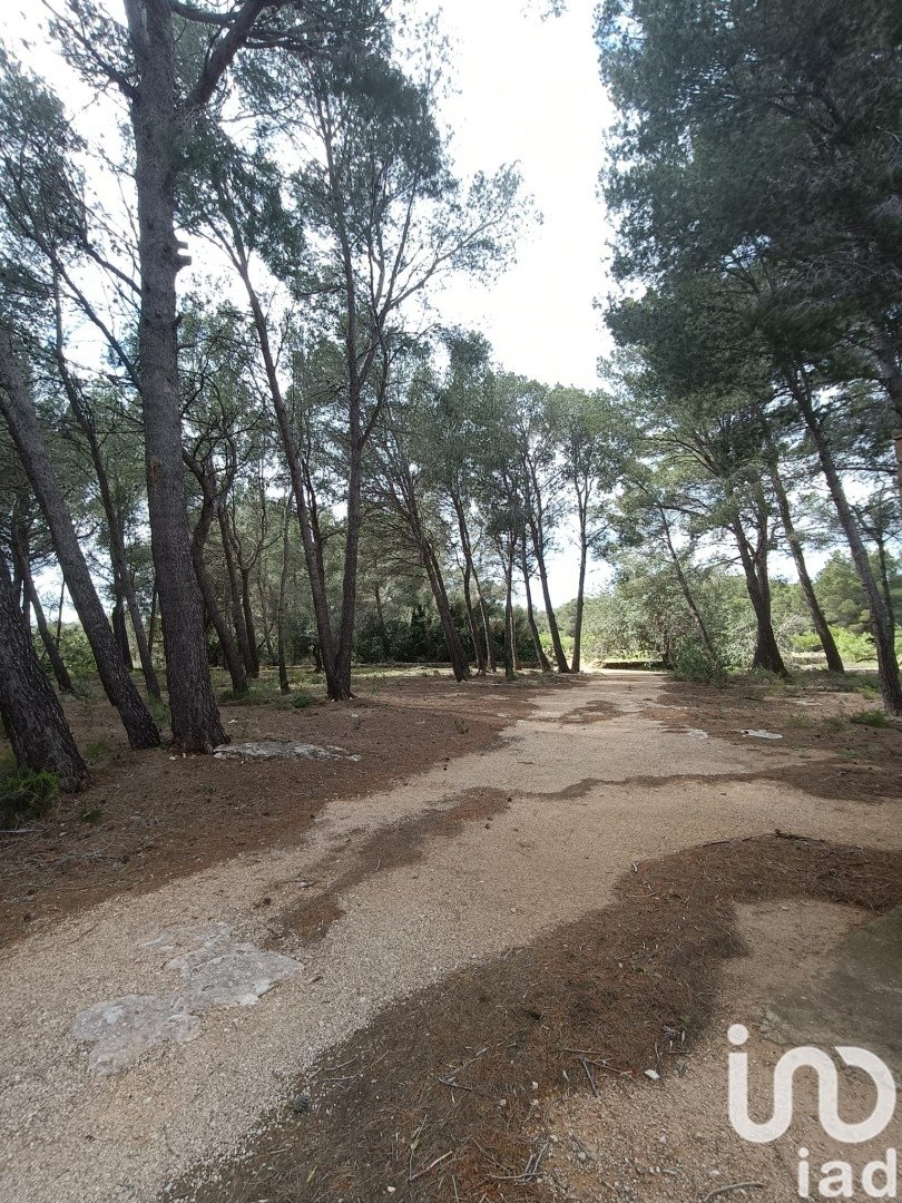 Land plot in El Perello, Tarragona, Spain 55000 sq.m. No. 185898