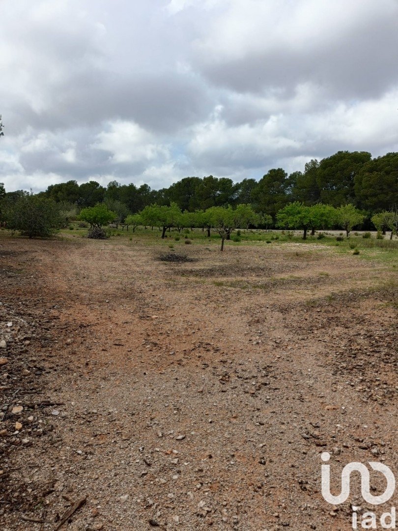 Land plot in El Perello, Tarragona, Spain 55000 sq.m. No. 185898