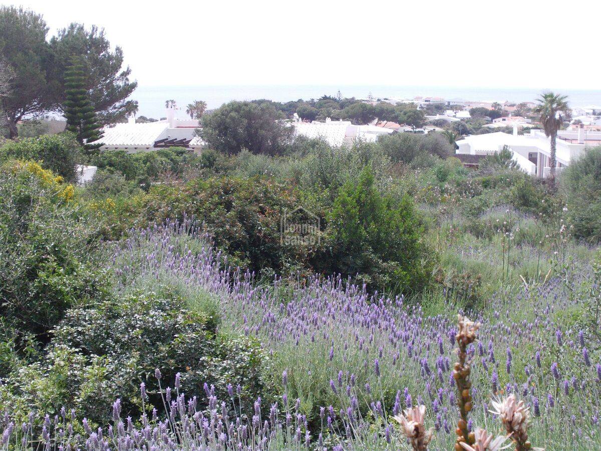 Zemes gabals Sant Lluis, Menorca, Spānijā Nr. 65563