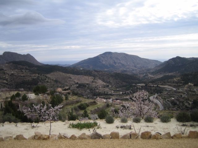 Finca en Sella, Alicante, España 2 dormitorios, 135 m2 No. 95675