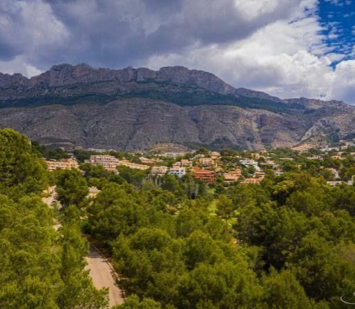 Działka w Altea, Alicante, Hiszpania nr 95824