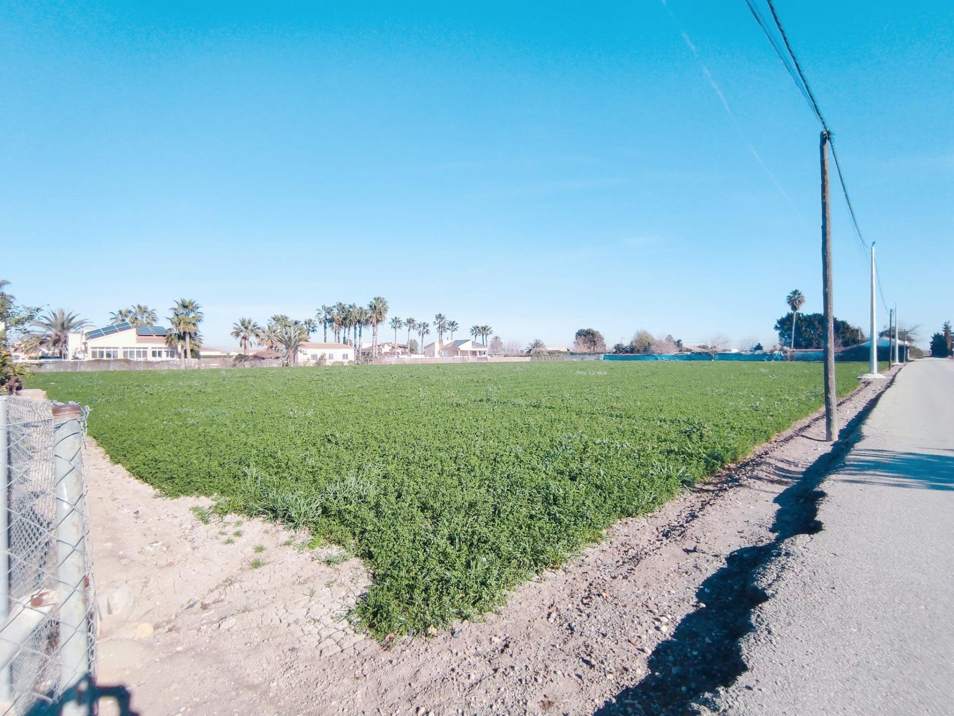 Hus i Dolores, Alicante, Spanien 3 sovrum, 220 kvm. Nr. 91876