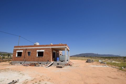 House à Pinoso, Alicante, Espagne 3 chambres, 160 m2 No. 111297