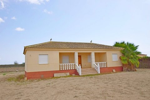 House in Dolores, Alicante, Spain 6 bedrooms, 300 sq.m. No. 111294