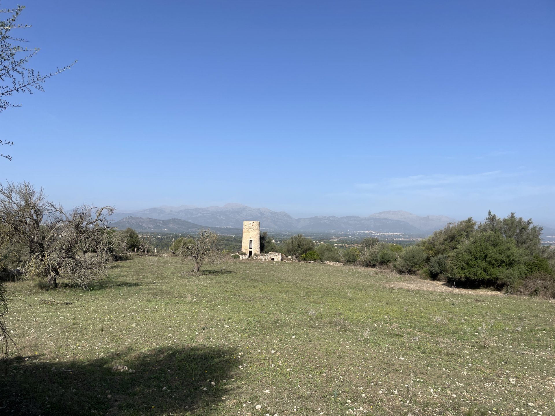 Land plot in Llubi, Mallorca, Spain 21983 sq.m. No. 111945