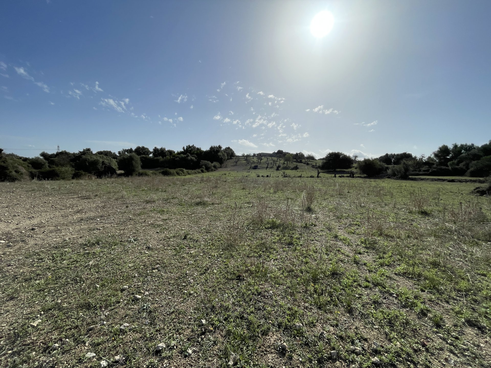 Land plot in Llubi, Mallorca, Spain 21983 sq.m. No. 111945