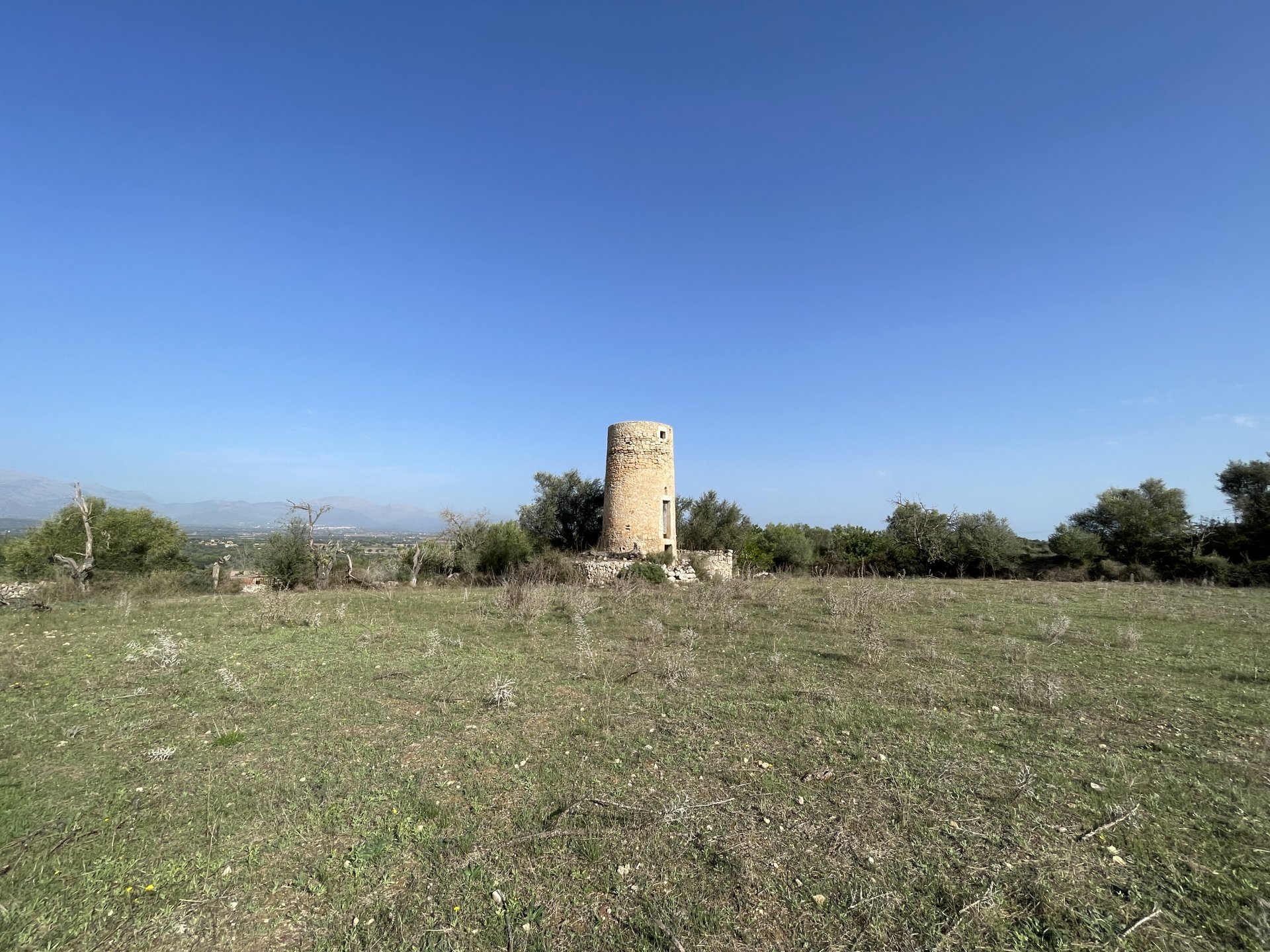 Land plot in Llubi, Mallorca, Spain 21983 sq.m. No. 111945