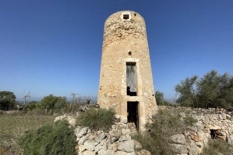 Land plot in Llubi, Mallorca, Spain 21983 sq.m. No. 111945