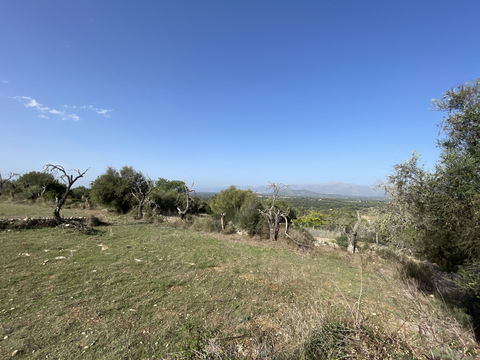 Land plot in Llubi, Mallorca, Spain 21983 sq.m. No. 111945