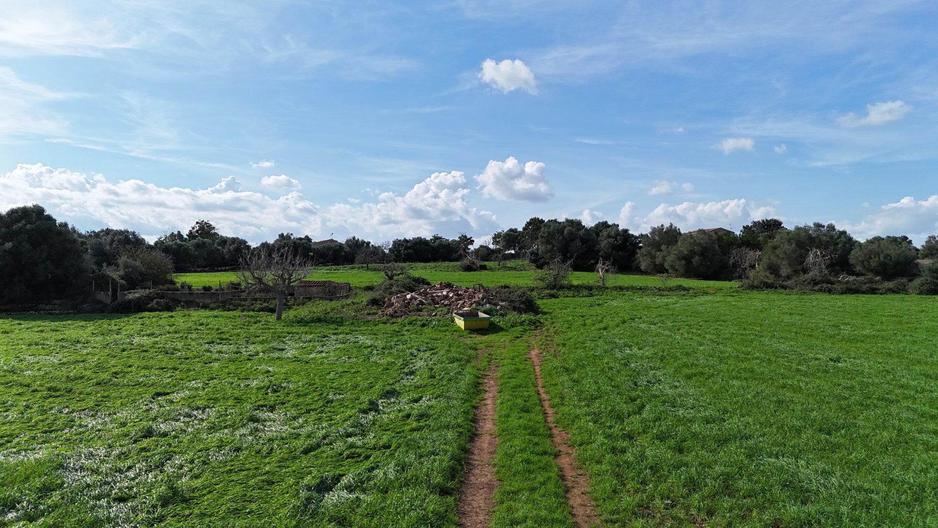 Zemes gabals Manacor, Mallorca, Spānijā 4 istabas, 55000 m2 Nr. 111946