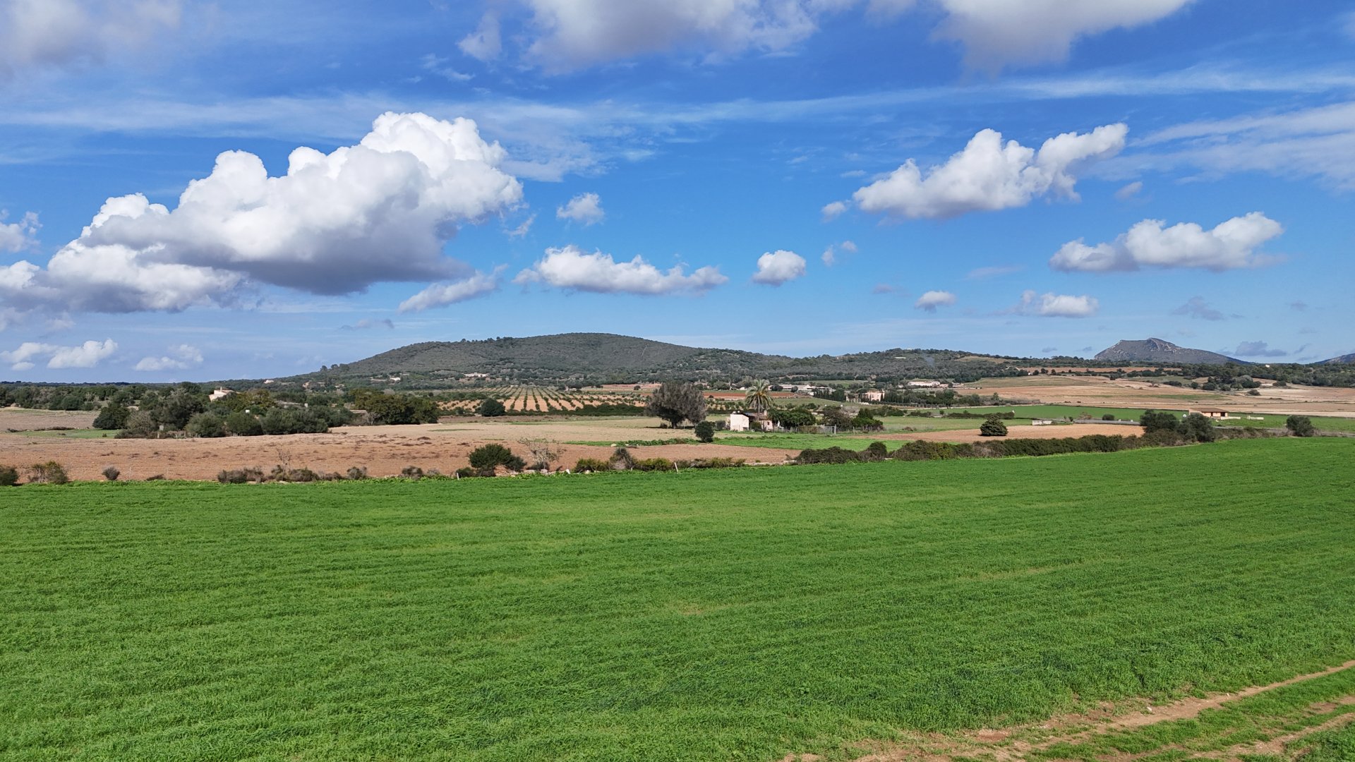 Zemes gabals Manacor, Mallorca, Spānijā 4 istabas, 55000 m2 Nr. 111946