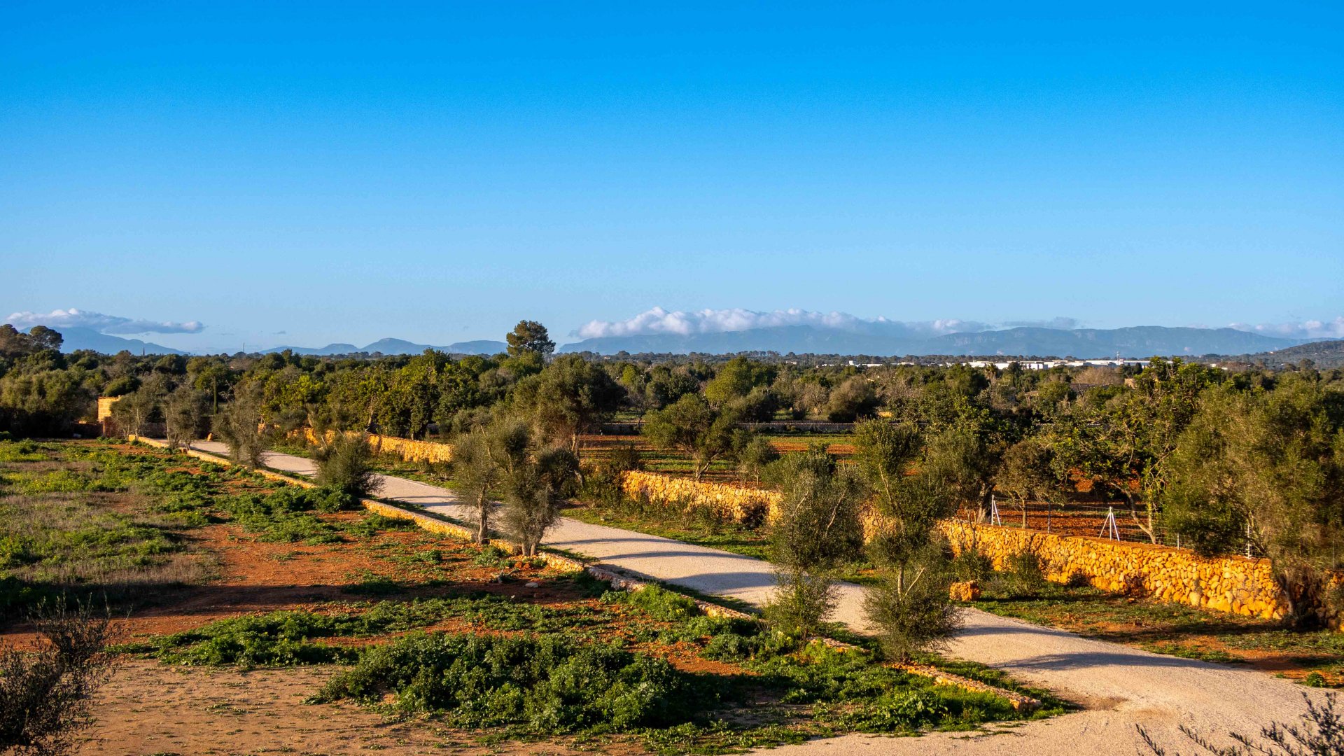 Finca a Llucmajor, Mallorca, Spagna 3 camere da letto, 380 mq. N° 111952