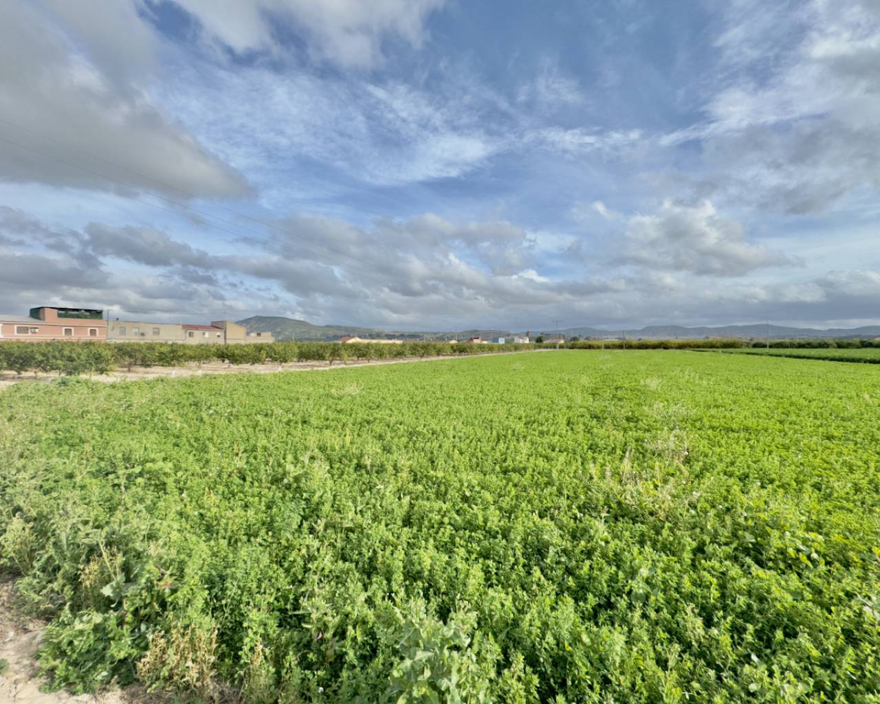 Finca i Orihuela, Alicante, Spanien 3 sovrum, 160 kvm. Nr. 95253