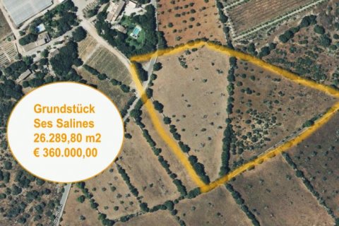 Land plot in Ses Salines, Mallorca, Spain No. 108947