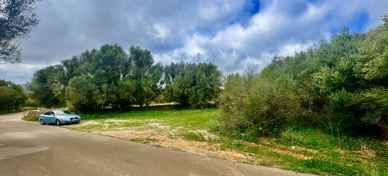 Tontti Ses Salines, Mallorca, Espanja No. 108947