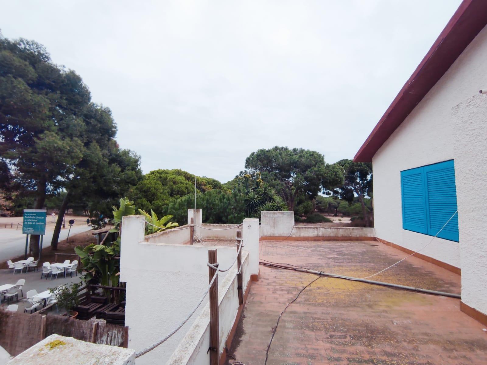 House in Guardamar del Segura, Alicante, Spanien 233 m2 Nr. 92111