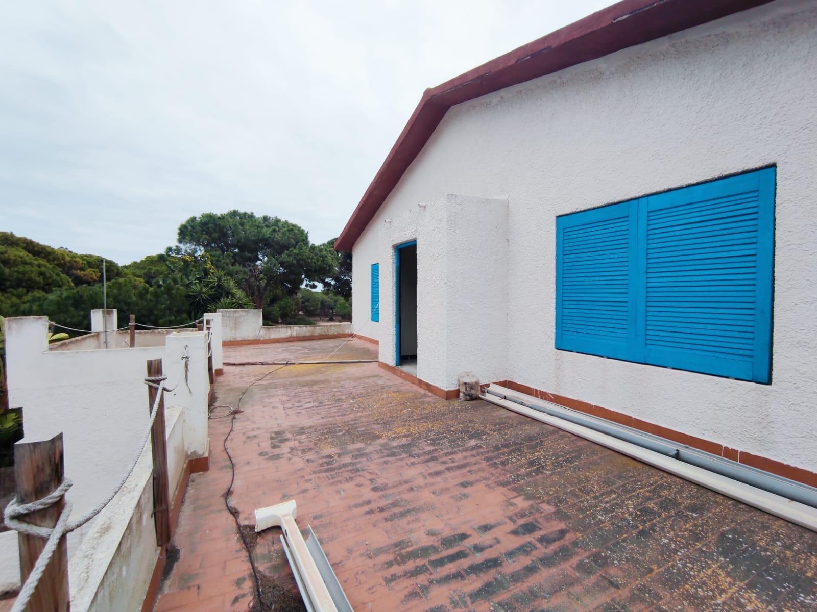 House in Guardamar del Segura, Alicante, Spanien 233 m2 Nr. 92111