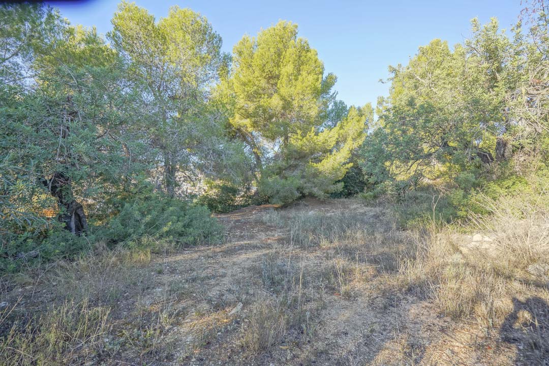 Zemes gabals Benissa, Alicante, Spānijā Nr. 90353