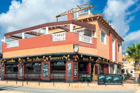 Commercial property in Orihuela, Alicante, Spain 122 sq.m. No. 22638