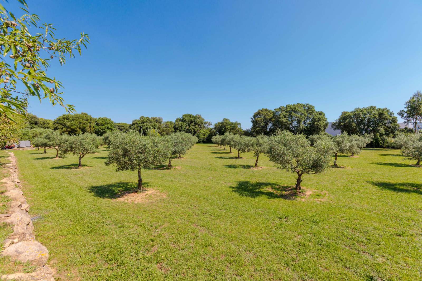House in Palafrugell, Girona, Spanien 5 Schlafzimmer, 375 m2 Nr. 22859