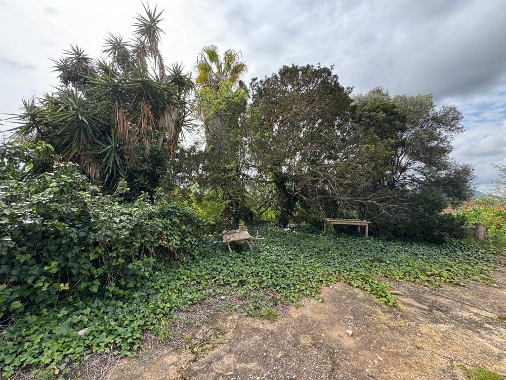 Māja Algaida, Mallorca, Spānijā Nr. 109860
