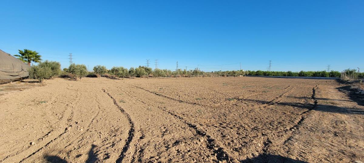 Финка в Аликанте, Испания 1 спальня, 1013м2 №100039