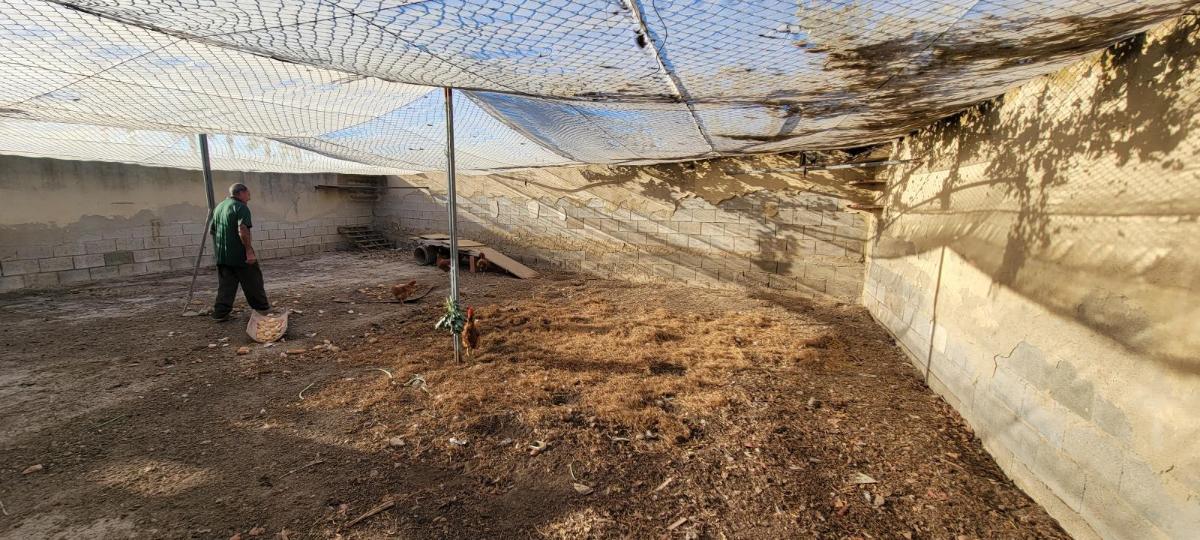 Финка в Аликанте, Испания 1 спальня, 1013м2 №100039