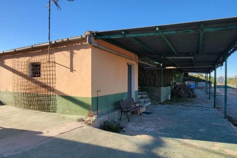 Finca in Alicante, Spain 1 bedroom, 1013 sq.m. No. 100039