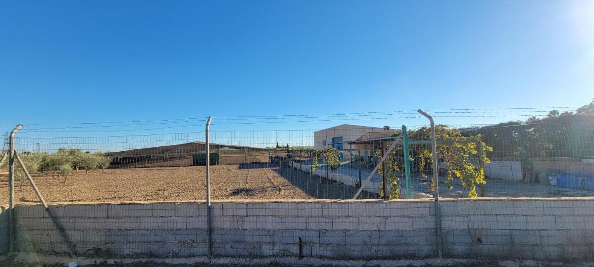 Финка в Аликанте, Испания 1 спальня, 1013м2 №100039