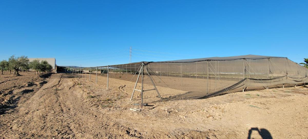 Финка в Аликанте, Испания 1 спальня, 1013м2 №100039
