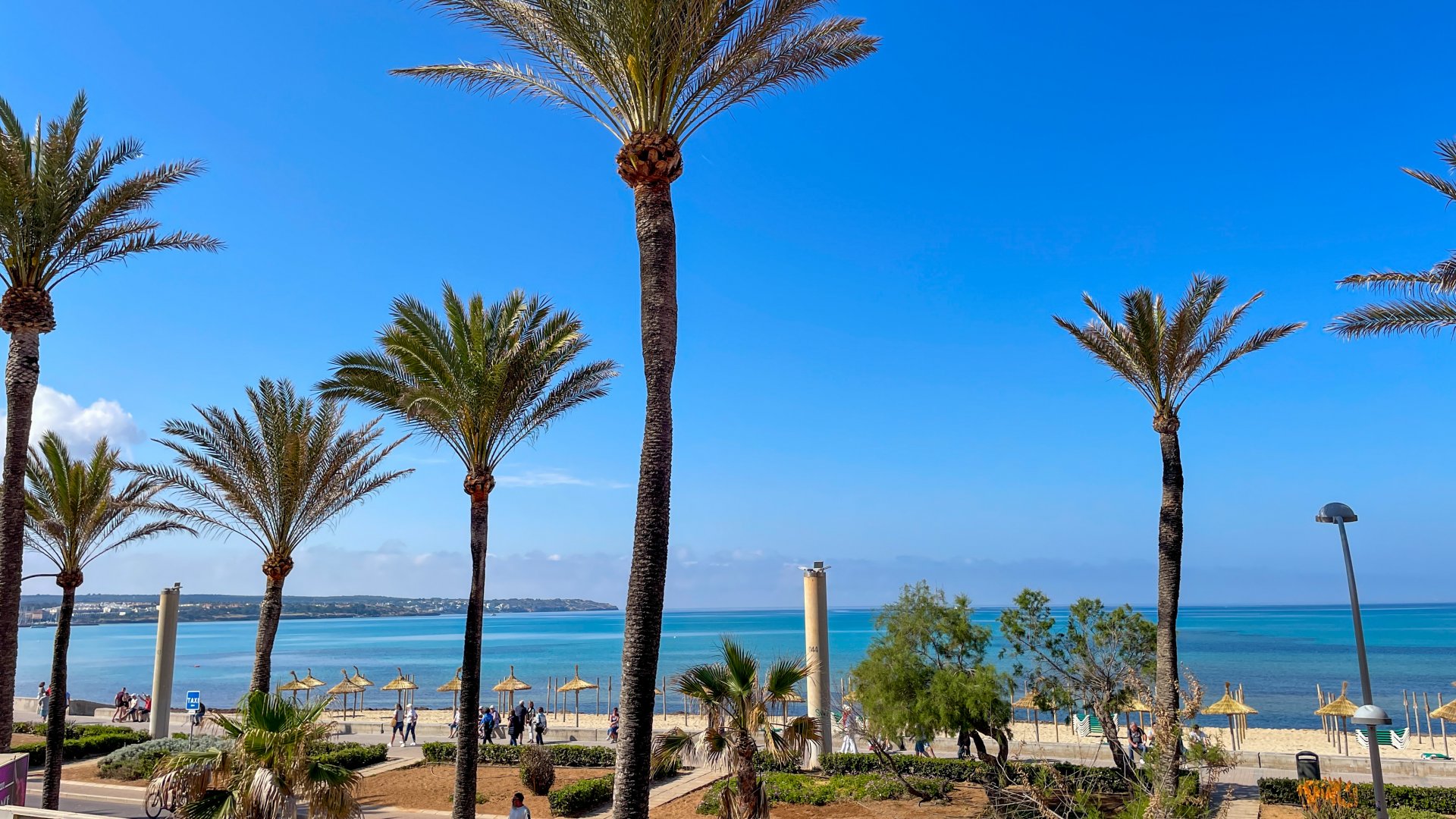 Appartamento a Palma de Majorca, Mallorca, Spagna 2 camere da letto, 79 mq. N° 97755
