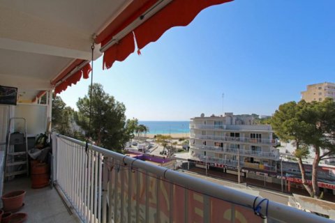 Appartamento a Magalluf, Mallorca, Spagna 3 camere da letto, 72 mq. N° 103274