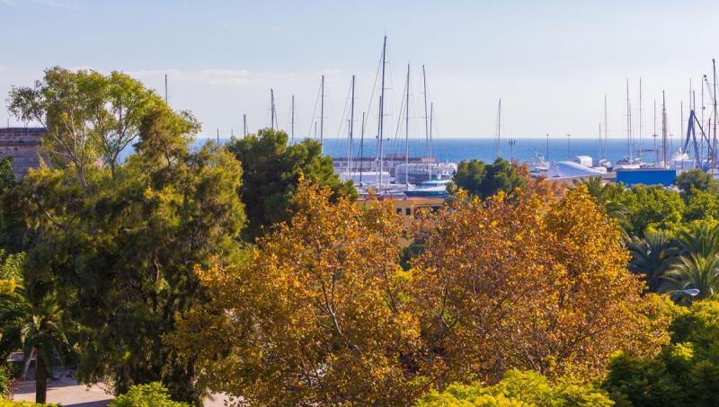 Appartamento a Palma de Majorca, Mallorca, Spagna 3 camere da letto, 151 mq. N° 103270