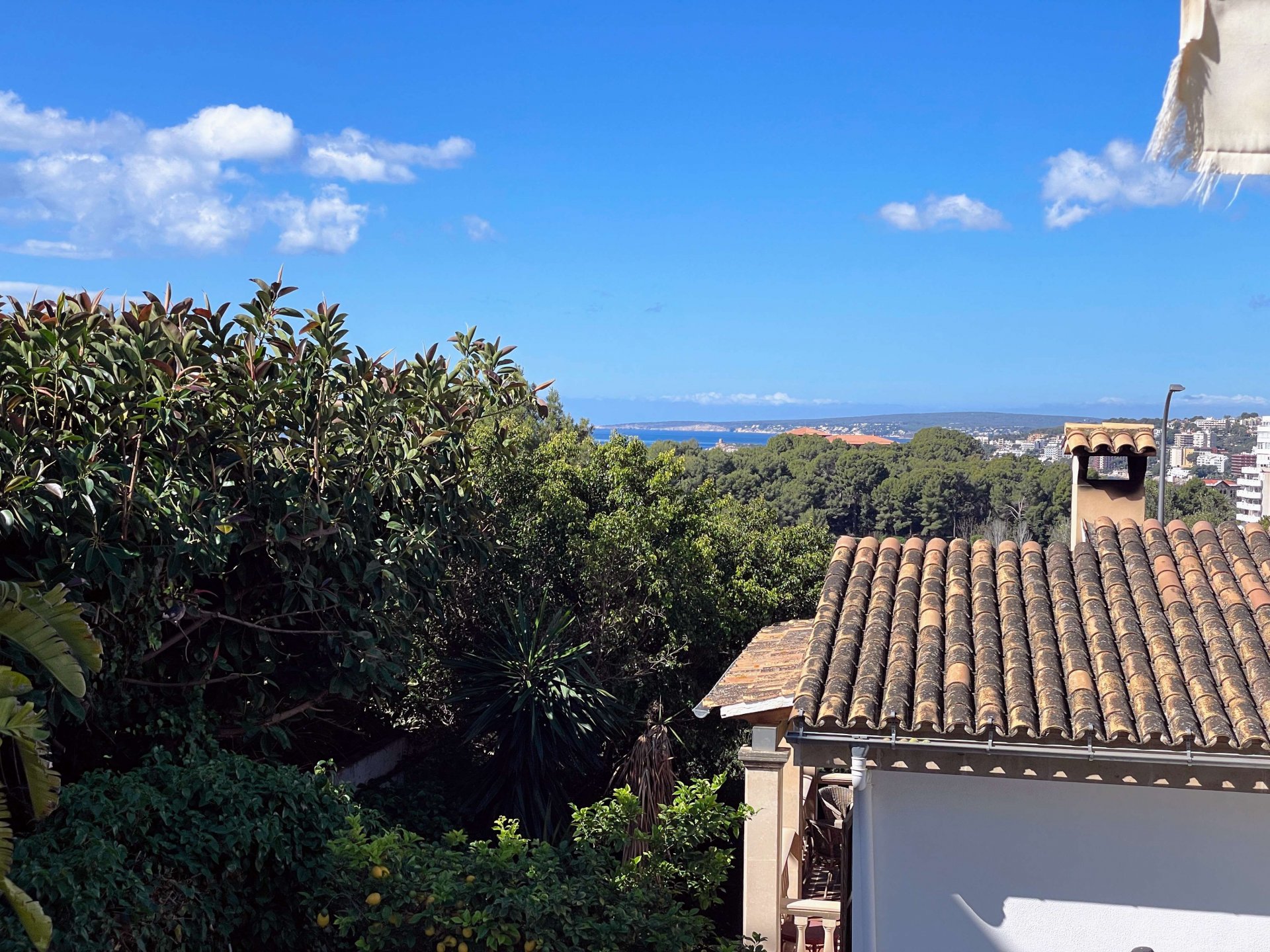 Appartamento a Palma de Majorca, Mallorca, Spagna 5 camere da letto, 247 mq. N° 99028