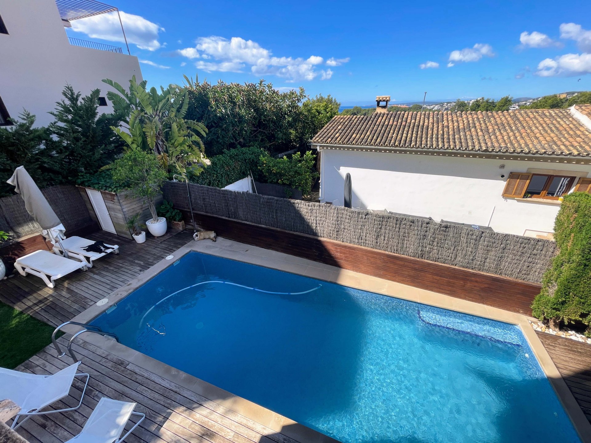 Appartamento a Palma de Majorca, Mallorca, Spagna 5 camere da letto, 247 mq. N° 99028