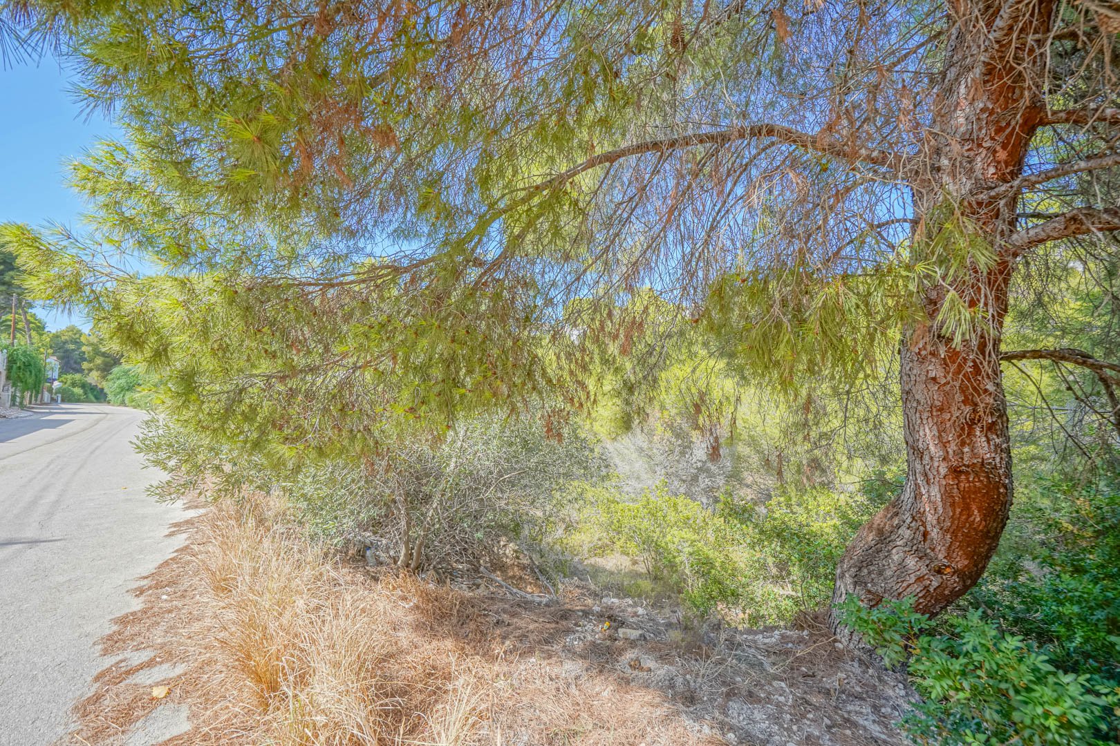 Parcela en Benissa, Alicante, España No. 81437