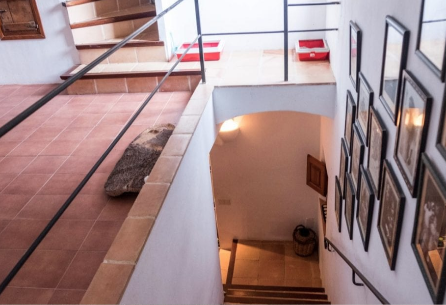 House à Girona, Espagne 8 chambres, 600 m2 No. 35346