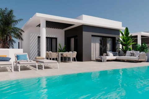 Villa in Ciudad Quesada, Alicante, Spanien 3 Schlafzimmer, 221 m2 Nr. 94578