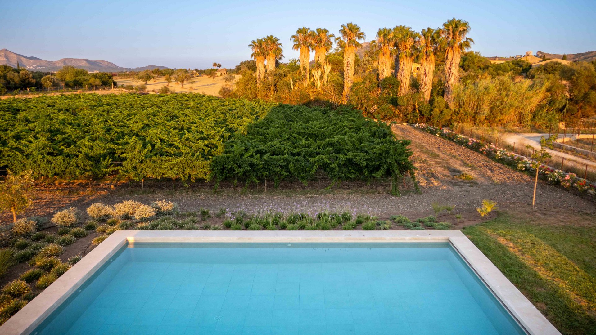 Finca en Alcudia, Mallorca, España 4 dormitorios, 565 m2 No. 32703