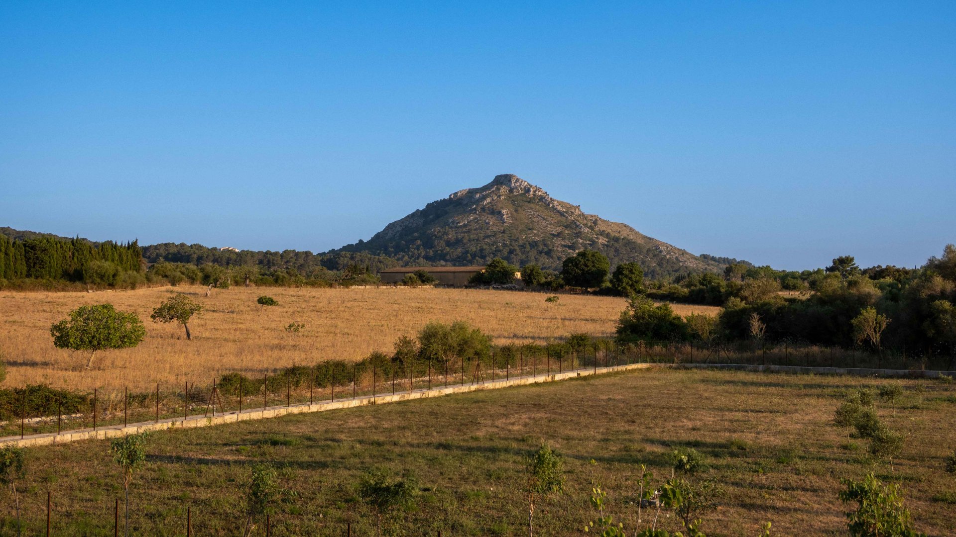 Finca en Alcudia, Mallorca, España 4 dormitorios, 565 m2 No. 32703