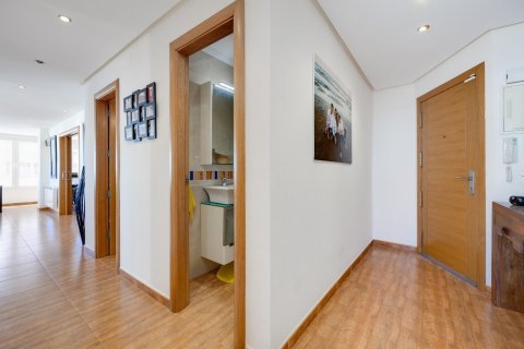 Huoneisto Torrevieja, Alicante, Espanja 3 makuuhuonetta, 100 m2 No. 113225