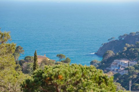 Działka w Tossa de Mar, Girona, Hiszpania nr 93230