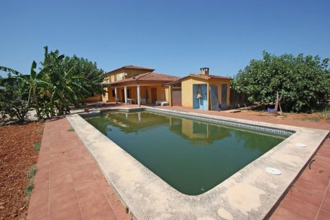 Villa à Pedreguer, Alicante, Espagne 6 chambres,  No. 83893
